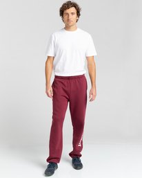 4 Cornell Track Sweatpants Multicolor ALYNP00107 Element