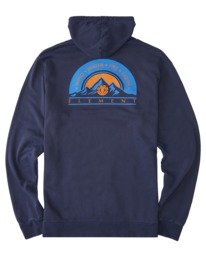 element pullover hoodie