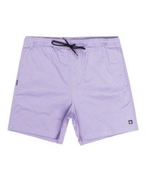 0 Valley Twill 17" Hybrid Shorts Purple ALYWS00126 Element