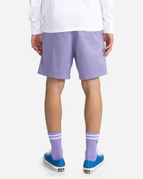 6 Valley Twill 17" Hybrid Shorts Purple ALYWS00126 Element