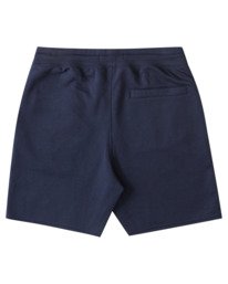 1 Cornell Lounge 19" Sweatshorts Blue ALYWS00133 Element