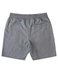 1 Cornell Lounge 19" Sweatshorts  ALYWS00133 Element