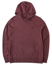 0 Icon Pigment Hoodie  ALYZT00401 Element