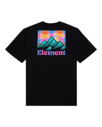 1 Kass Short Sleeve T-Shirt  ALYZT00482 Element