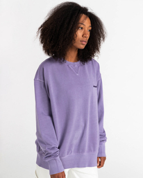 6 Cornell 3.0 - Sweat pour Homme Violet C1CRC1ELP2 Element