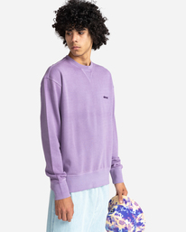 2 Cornell 3.0 - Sweat pour Homme Violet C1CRC1ELP2 Element