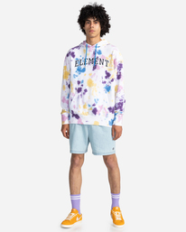 4 Crossfield Tie Dye - Sweat à capuche pour Homme Bleu C1FLC2ELP2 Element