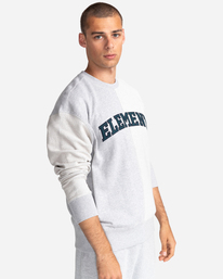 2 Crossfield  Reverse - Sweatshirt für Männer Grau C1FLC5ELP2 Element