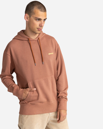 2 Cornell 3.0 - Sweat à capuche pour Homme Marron C1HOB1ELP2 Element