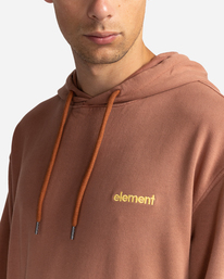 3 Cornell 3.0 - Sweat à capuche pour Homme Marron C1HOB1ELP2 Element