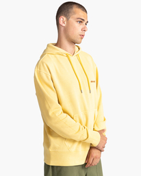 2 Cornell 3.0 - Sweat à capuche pour Homme Jaune C1HOB1ELP2 Element