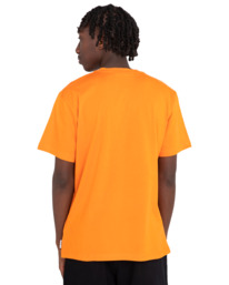 6 Pelage Graphic - T-shirt met korte mouw Unisex Orange C1SSP8ELP2 Element