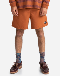 1 Canyon 18" - Hybrid Shorts for Men Brown C1WKC3ELP2 Element