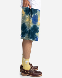 2 Crossfield Tie Dye 18" - Pantaloncini della tuta da Uomo  C1WKD7ELP2 Element