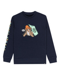 0 Sup - Sweatshirt for Boys 8-16 Gray C2CRB2ELP2 Element