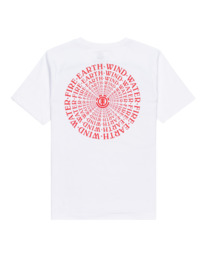 Delmar - Short Sleeve T-Shirt for Boys 8-16  C2SSE5ELP2