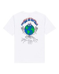 Renard - Short Sleeve T-Shirt for Boys 8-16  C2SSF9ELP2
