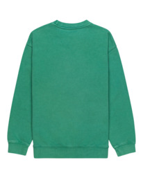 element, Cornell 3.1 - Sweatshirt for Boys 8-16, FOLIAGE (gqe0) Cornell 3.1 - Sweatshirt for Boys 8-16 ELBFT00110
