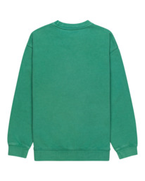 1 Cornell 3.1 - Sweat pour Garçon 8-16 ans Vert ELBFT00110 Element