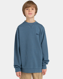 2 Cornell 3.1 - Sweat pour Garçon 8-16 ans Bleu ELBFT00110 Element