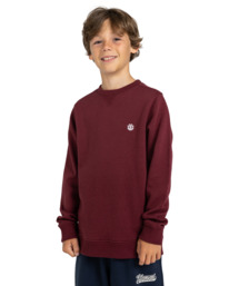 2 Cornell Classic - Sweat pour Garçon 8-16 ans Rouge ELBFT00112 Element