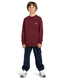 5 Cornell Classic - Sweat pour Garçon 8-16 ans Rouge ELBFT00112 Element