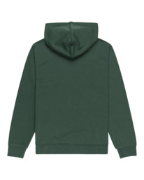 1 Cornell Classic - Sweat à capuche pour Garçon 8-16 ans Vert ELBFT00113 Element