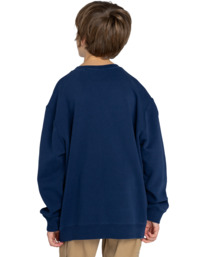 7 Cornell 3.0 - Sweater voor Jongens 8-16 Blue ELBFT00116 Element