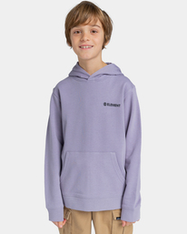 2 Blazin Chest - Hoodie for Boys 8-16 Purple ELBSF00107 Element