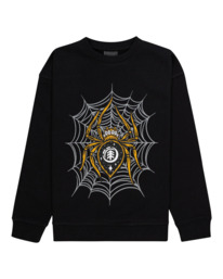 element, Nocturnal Spider - Sweatshirt für Jungen 8-16, FLINT BLACK (fbk) Nocturnal Spider - Sweatshirt for Boys 8-16 ELBSF00113