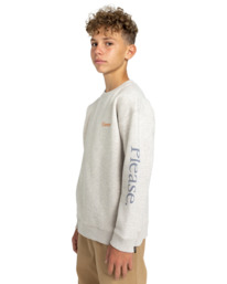 3 Smokey Bear x Element Please - Sweatshirt for Boys 8-16 White ELBSF00120 Element