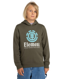 2 Vertical - Sweat à capuche pour Garçon 8-16 ans Vert ELBSF00124 Element