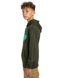 3 Head - Hoodie for Boys 8-16 Brown ELBSF00134 Element