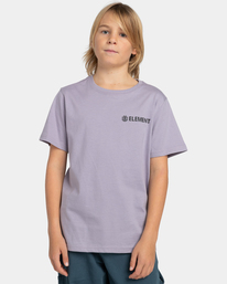 2 Blazin - T-shirt pour Garçon 8-16 ans Violet ELBZT00108 Element