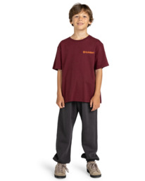 5 Blazin - T-shirt pour Garçon 8-16 ans Rouge ELBZT00108 Element