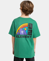 6 Farm - Camiseta para Chicos 8-16 Verde ELBZT00114 Element