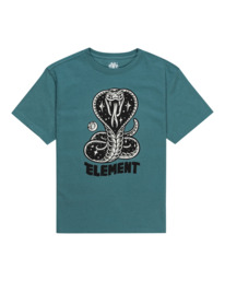 element, Nocturnal Cobra - Camiseta para Chicos 8-16, NORTH ATLANTIC (bmz0) Nocturnal Cobra - T-Shirt for Boys 8-16 ELBZT00120