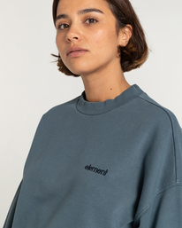 4 Cornell 3.0 - Sweat pour Femme Bleu ELJFT00106 Element