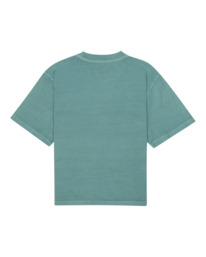 1 Basic Pigment - T-shirt pour Femme Bleu ELJKT00102 Element