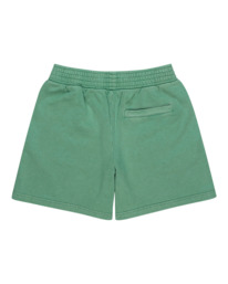 1 Cornell 3.0 - Short en molleton pour Femme Vert ELJNS00101 Element