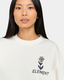 4 Brodie Family - Sweatshirt für Frauen Weiss ELJSF00113 Element