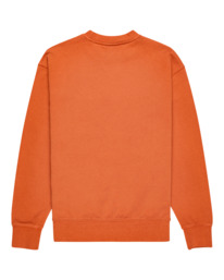 Orange deals sweatshirt men