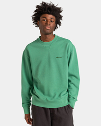 2 Cornell 3.0 - Sweat pour Homme Vert ELYFT00130 Element