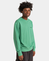 3 Cornell 3.0 - Sweat pour Homme Vert ELYFT00130 Element