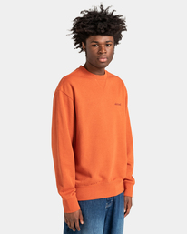 3 Cornell 3.0 - Sweat pour Homme Orange ELYFT00130 Element