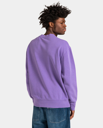 6 Cornell 3.0 - Sweat pour Homme Violet ELYFT00130 Element