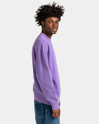 3 Cornell 3.0 - Sweatshirt für Männer Violett ELYFT00130 Element