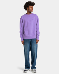 5 Cornell 3.0 - Sweatshirt für Männer Violett ELYFT00130 Element