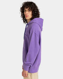 3 Cornell 3.0 - Sudadera con Capucha para Hombre Violeta ELYFT00132 Element