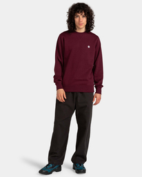 5 Cornell Classic - Sweat pour Homme Blanc ELYFT00133 Element